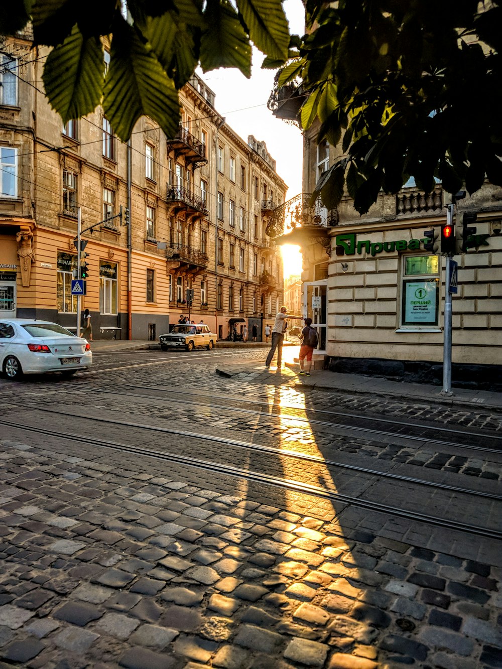 cars on road between buildings