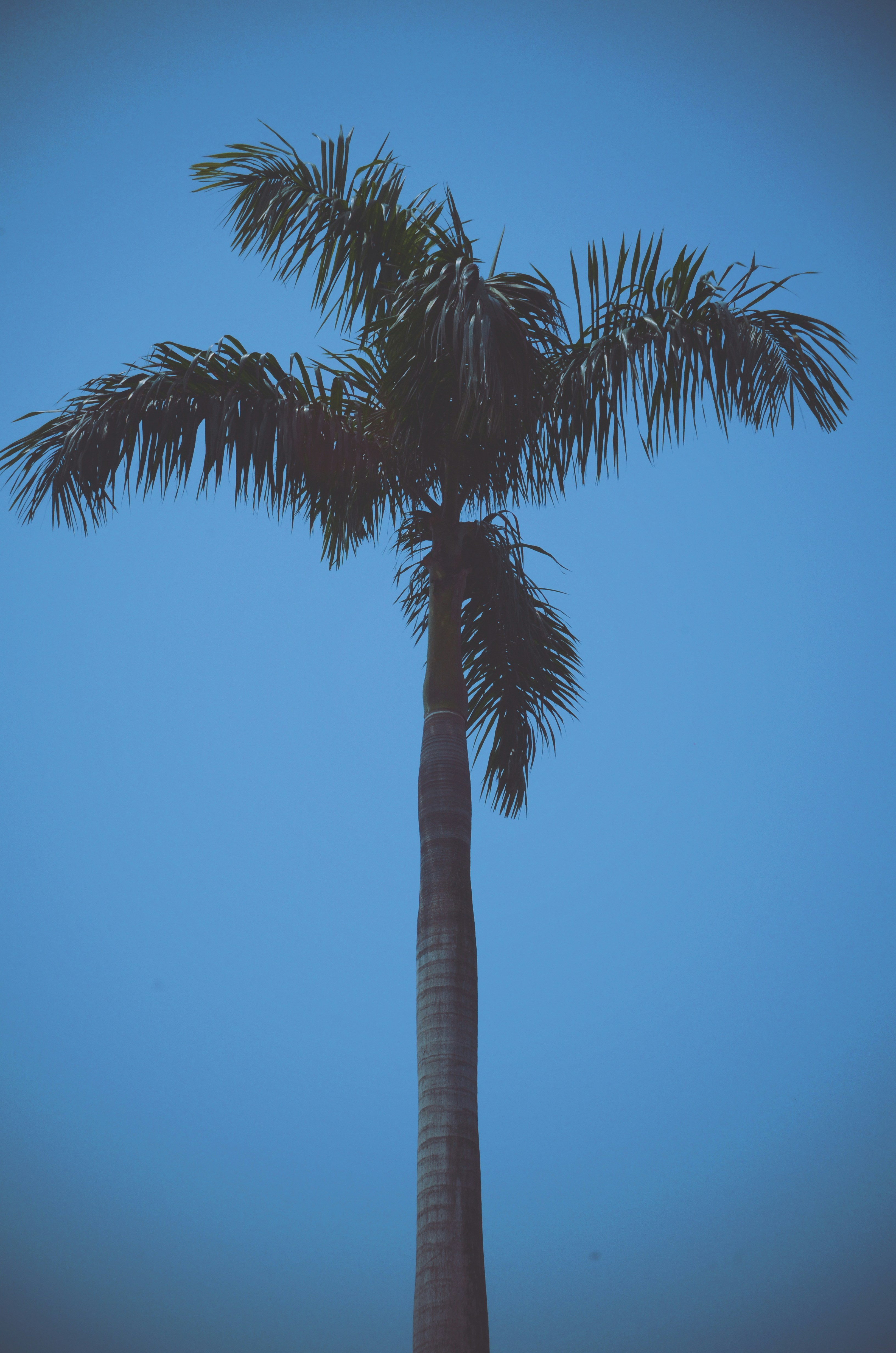 Photo by thehungerartist