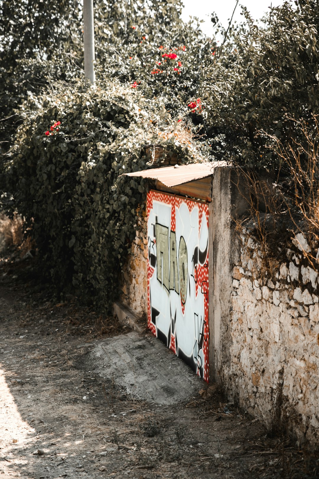 white and orange wall beside plant