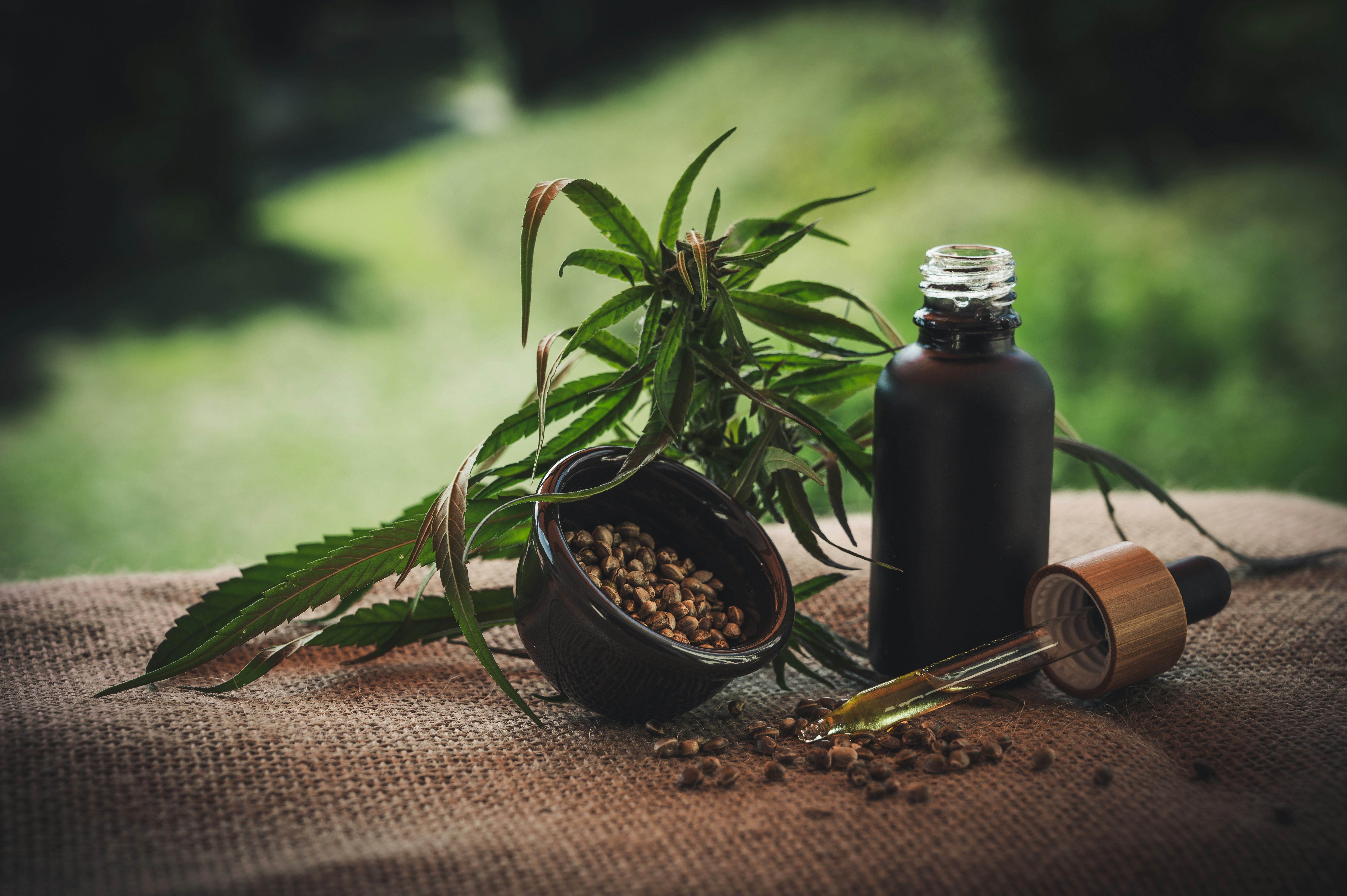 Dark castor oil in glass bottle with castor plant seeds and leaves