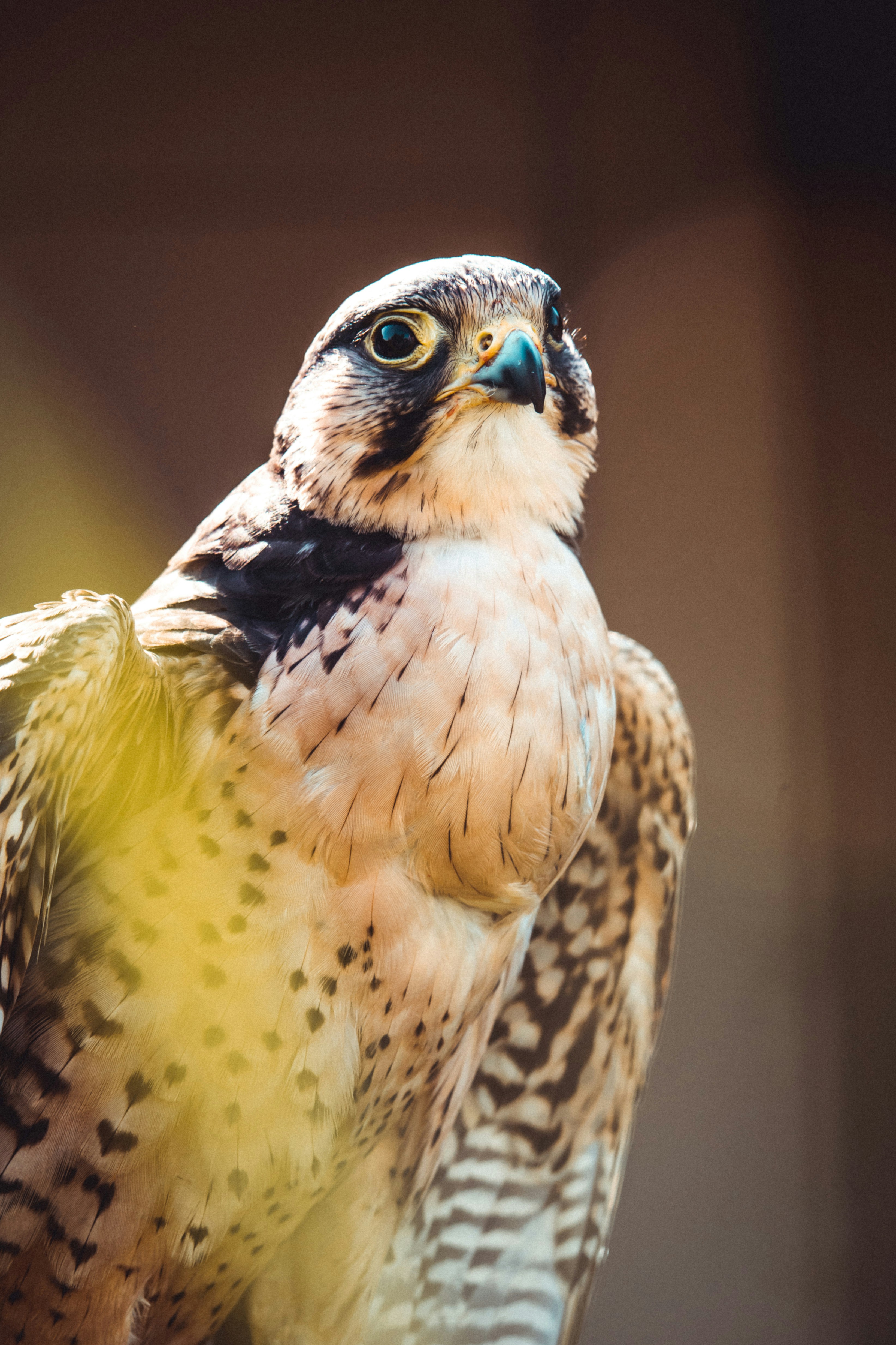 Photo by leonmcbride