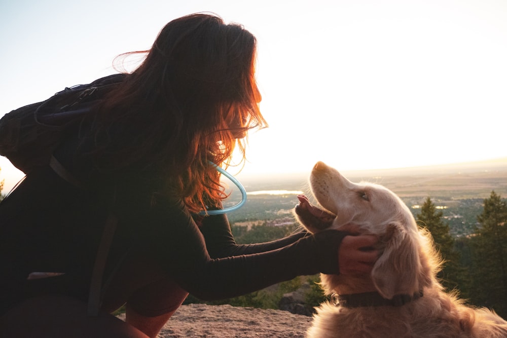 woman touching Labrador retriever