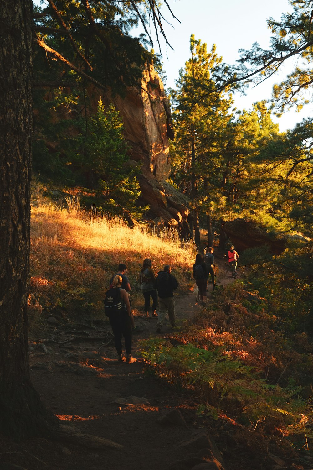 group of hikers on focus photography