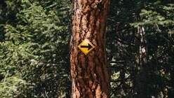 yellow and black arrow signage