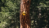 yellow and black arrow signage