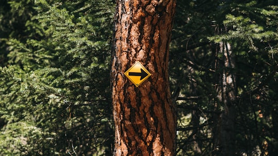yellow and black arrow signage in Peachland Canada