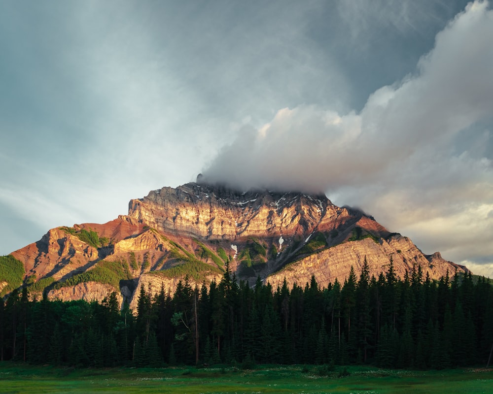 landscape photography of brown and green mountain