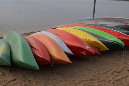 Colorful kayaks lined up on a sunny beach shore.