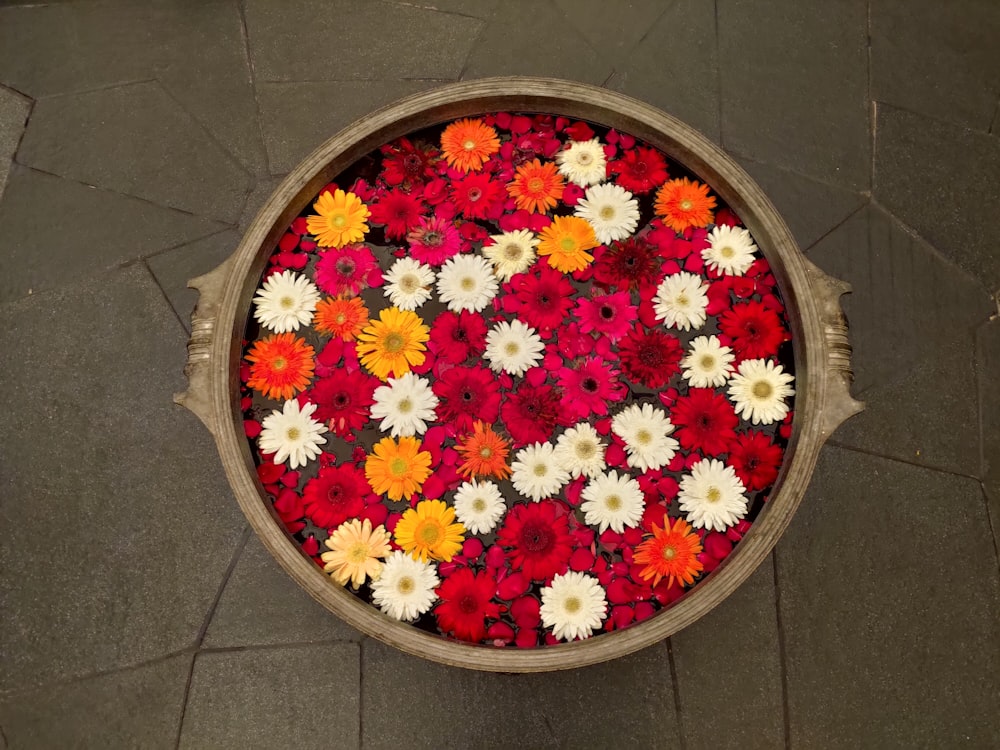 white, orange, and yellow petaled flowers