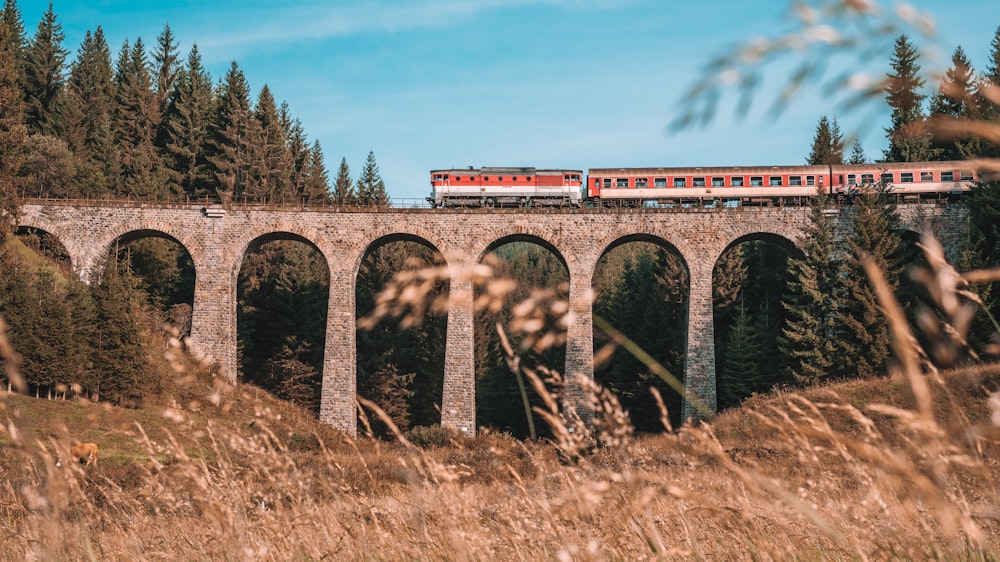 train on bridge