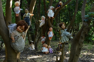 Numerous old dolls are haphazardly hung and placed on the branches of trees in a dense woodland setting. The forest floor is covered with leaves and debris, and the light filters through the trees creating an eerie atmosphere.