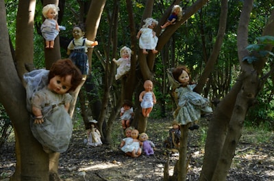 Numerous old dolls are haphazardly hung and placed on the branches of trees in a dense woodland setting. The forest floor is covered with leaves and debris, and the light filters through the trees creating an eerie atmosphere.