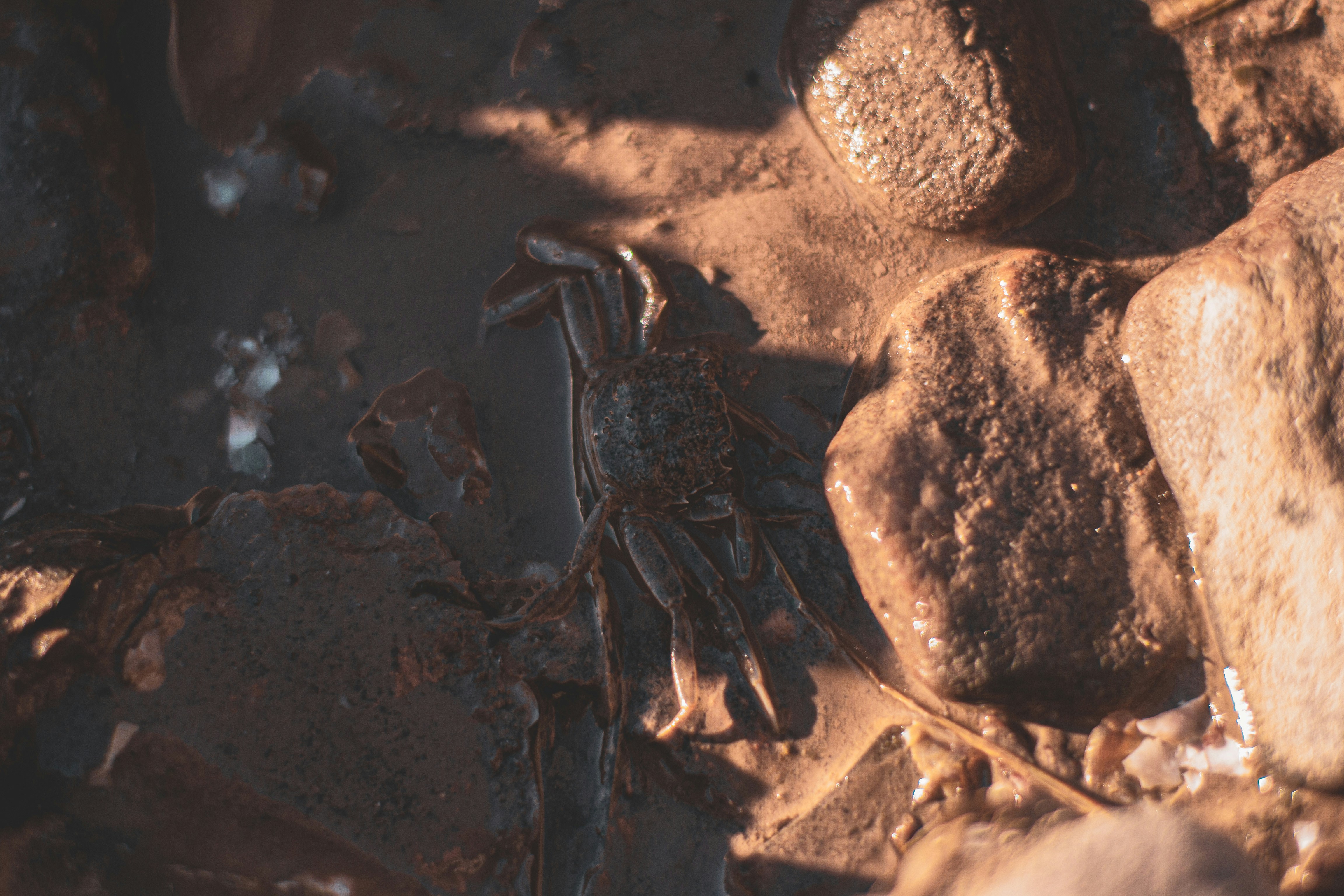 Photo by agustinfernandez