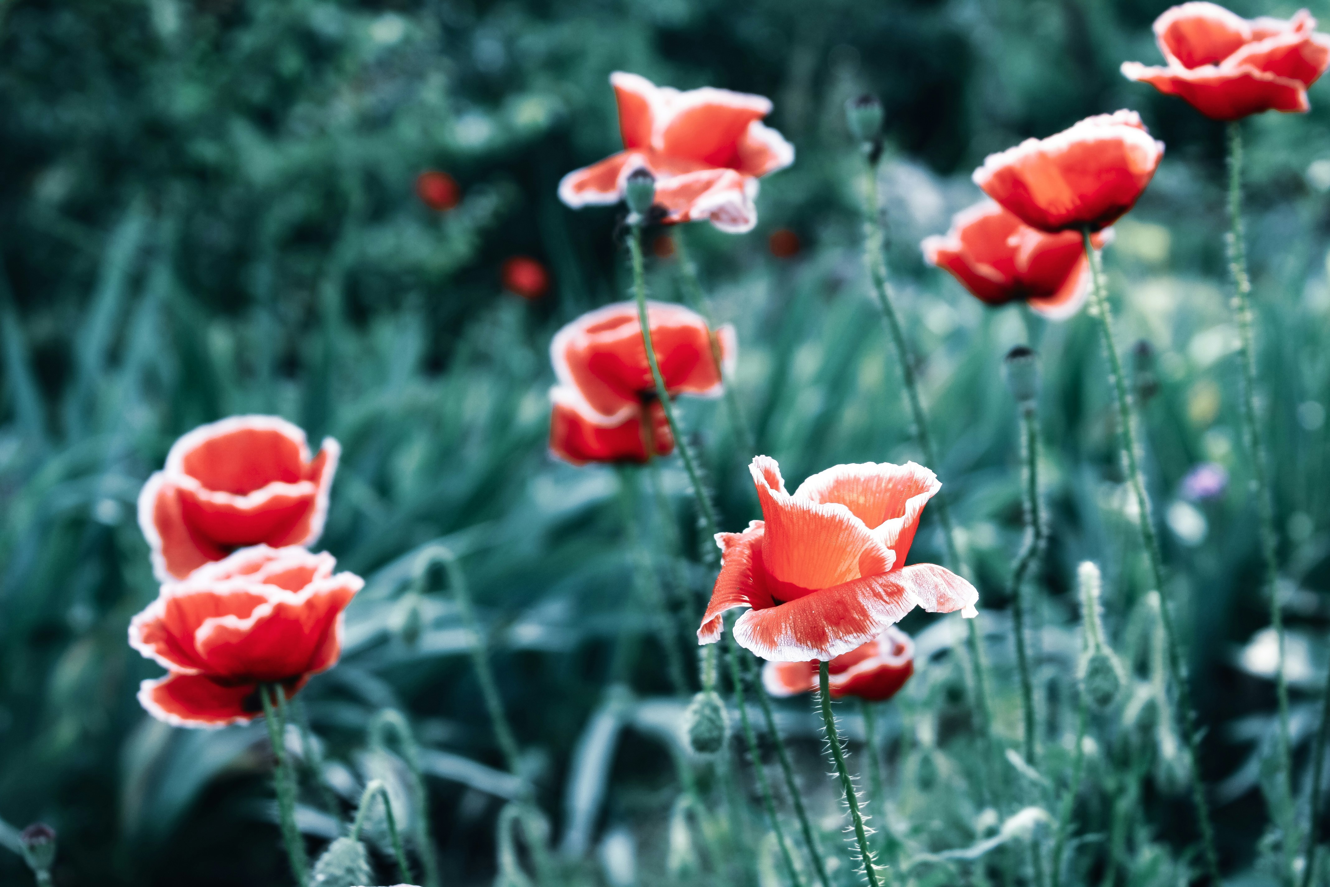 Photo by deadline_productions