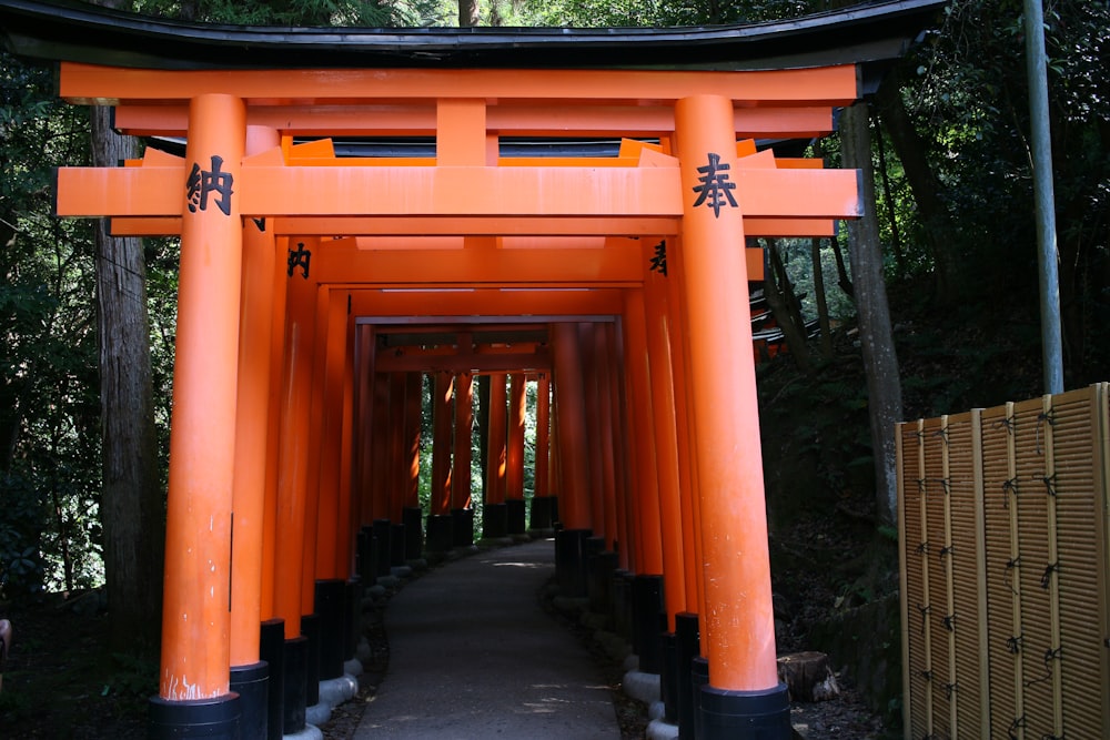 orange concrete tunnel at daytime