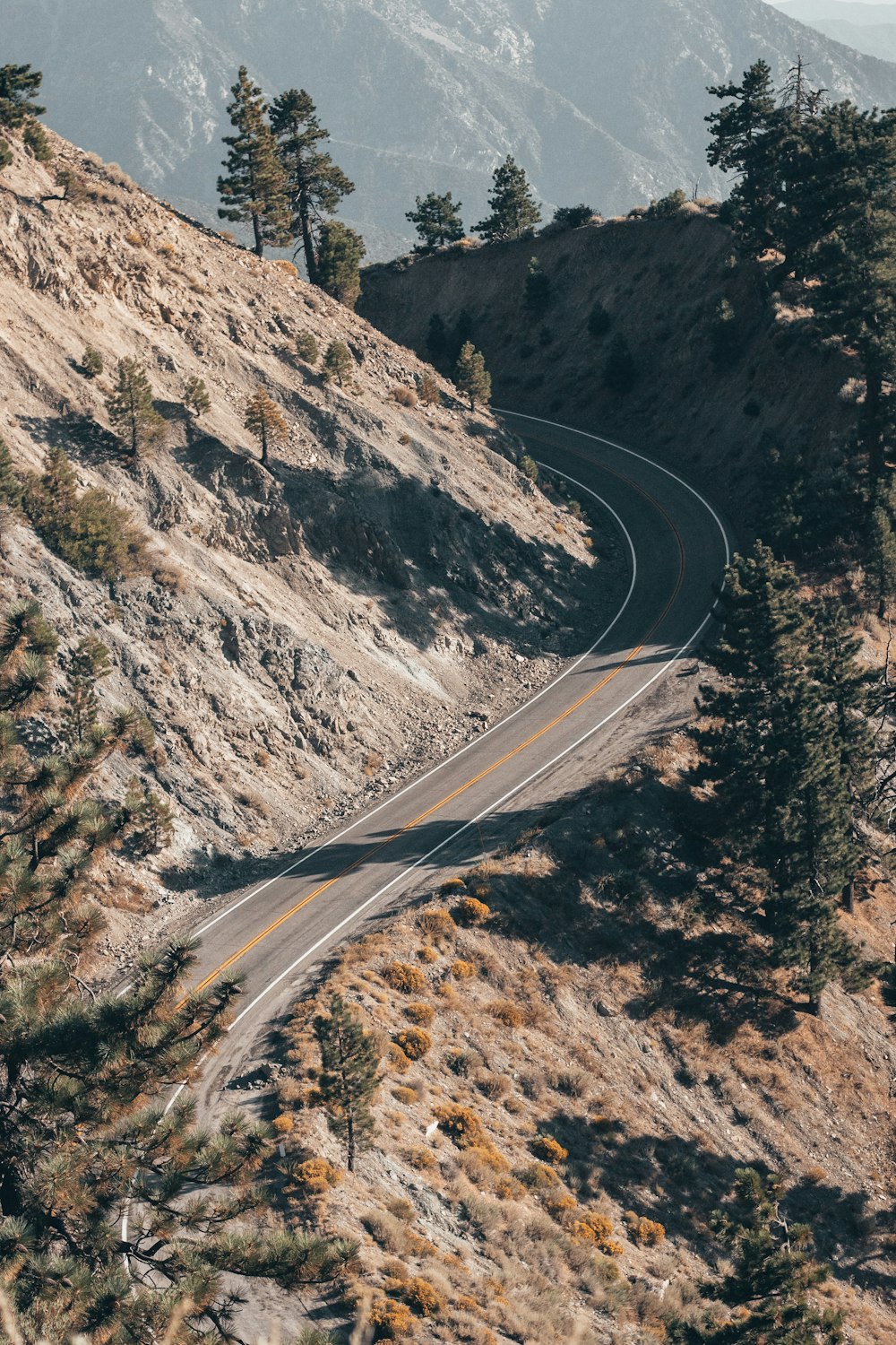 high-angle photography of farm road