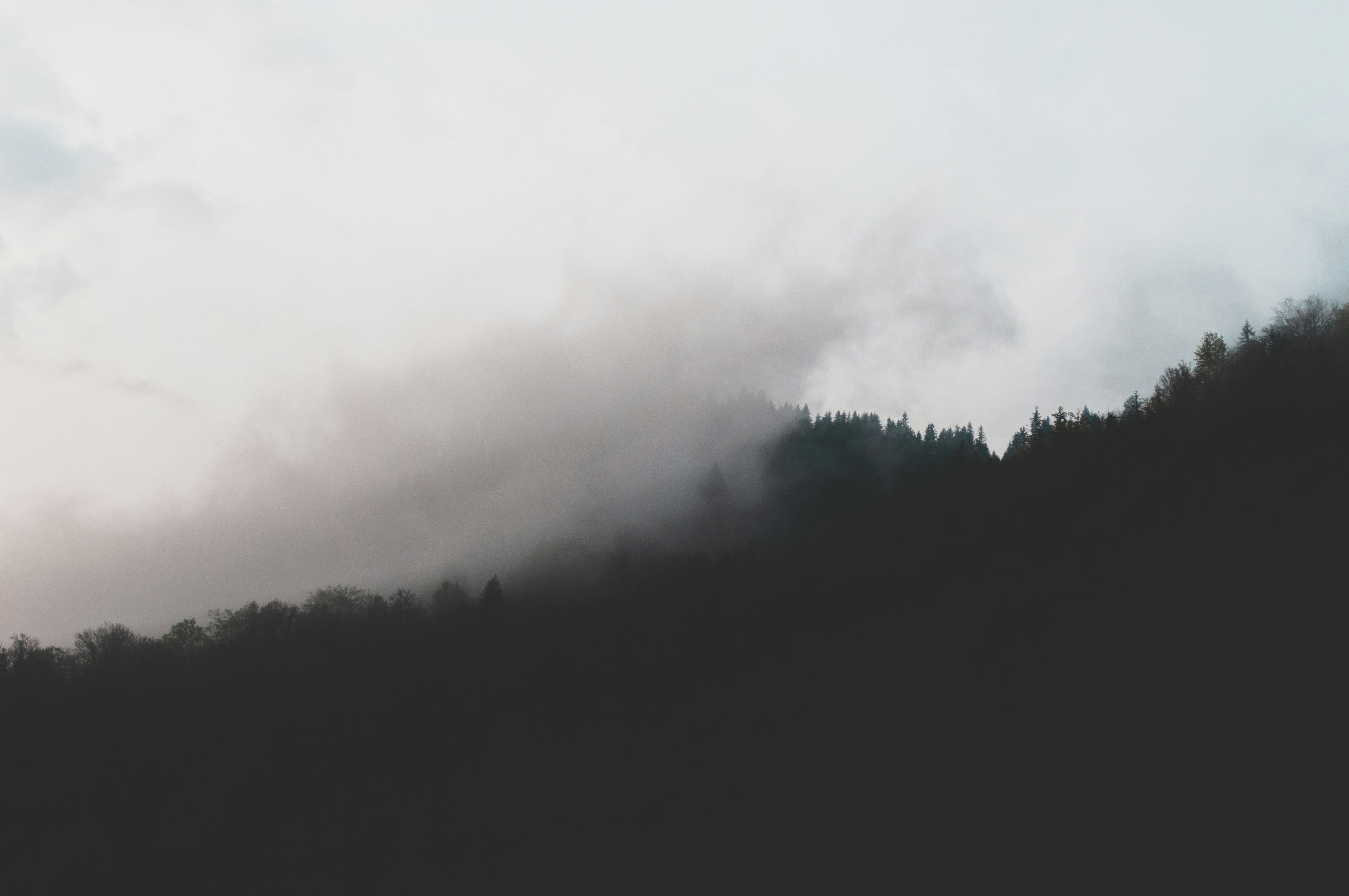 Photo by alexandramirghes