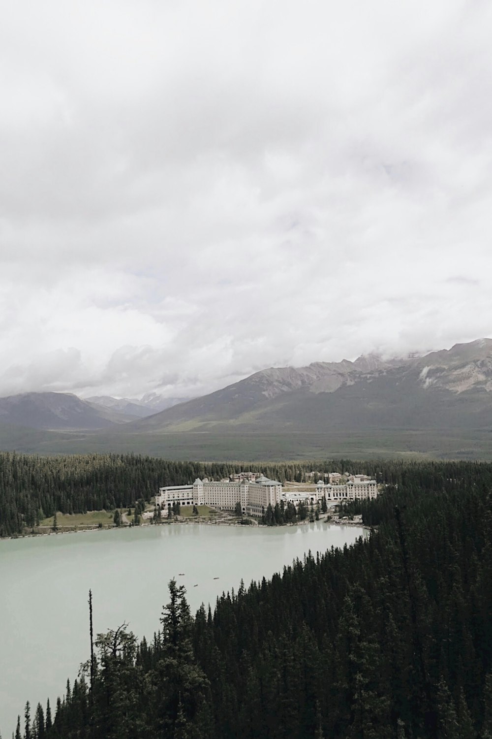 body of water between green trees