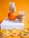 A composition featuring dried fruit slices and two glass jars filled with dried fruit, set against an orange background. An orange fruit supports the top jar, while star fruit slices and orange slices are arranged on a white box and the surface below.