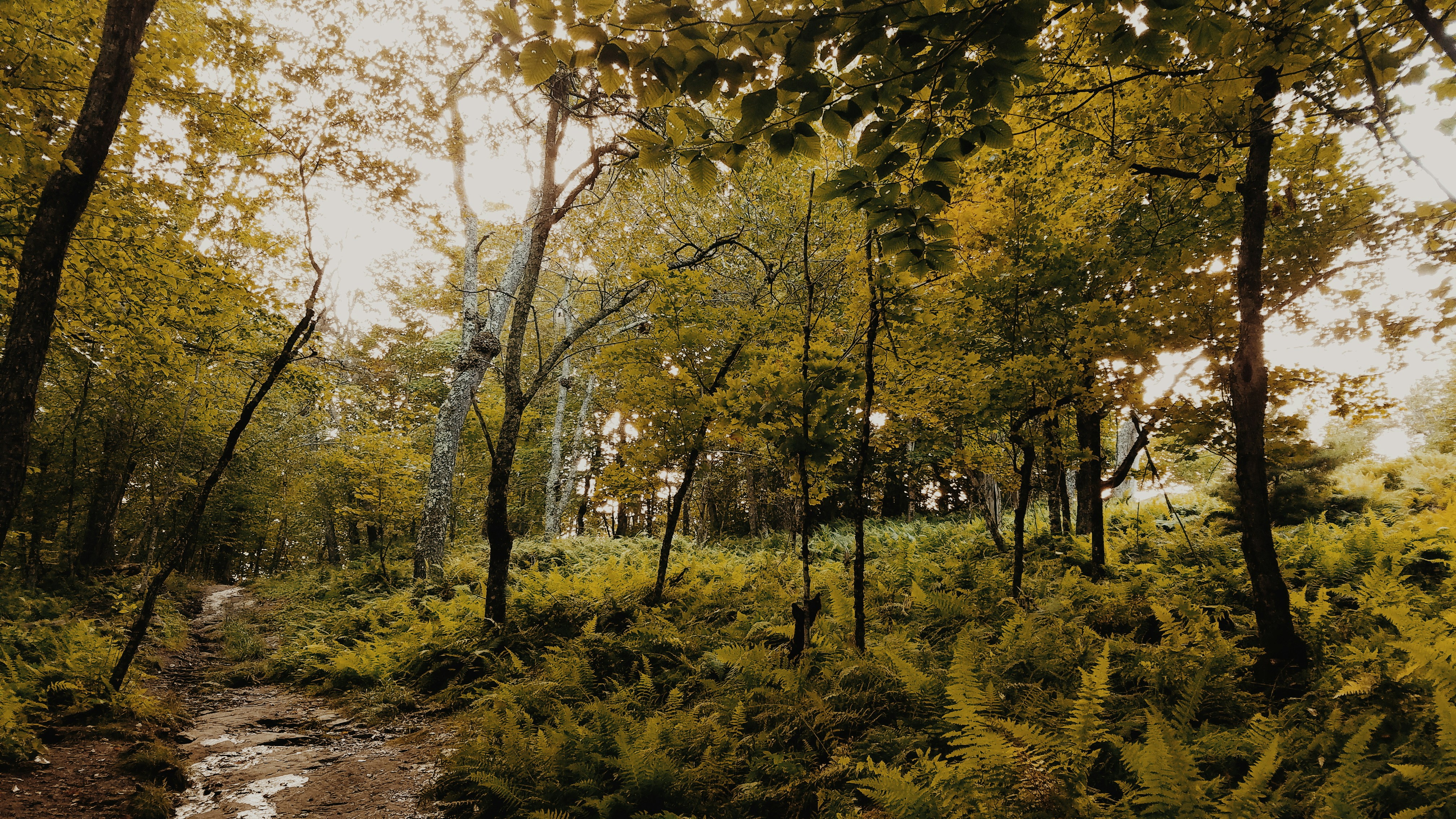 Photo by john_silliman