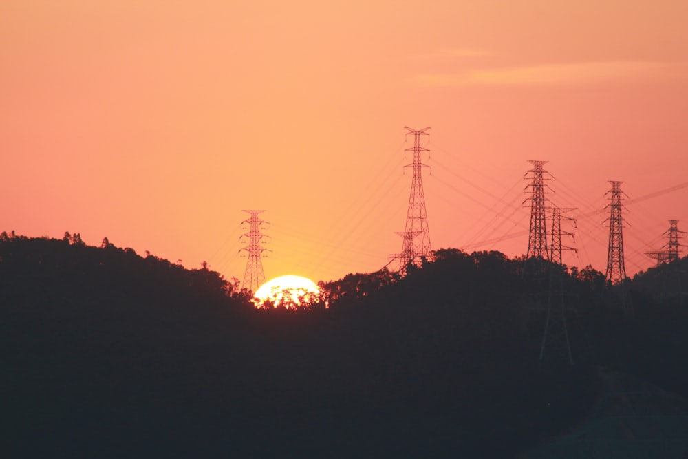 silhouette photography of trees and electric towers during golden hour