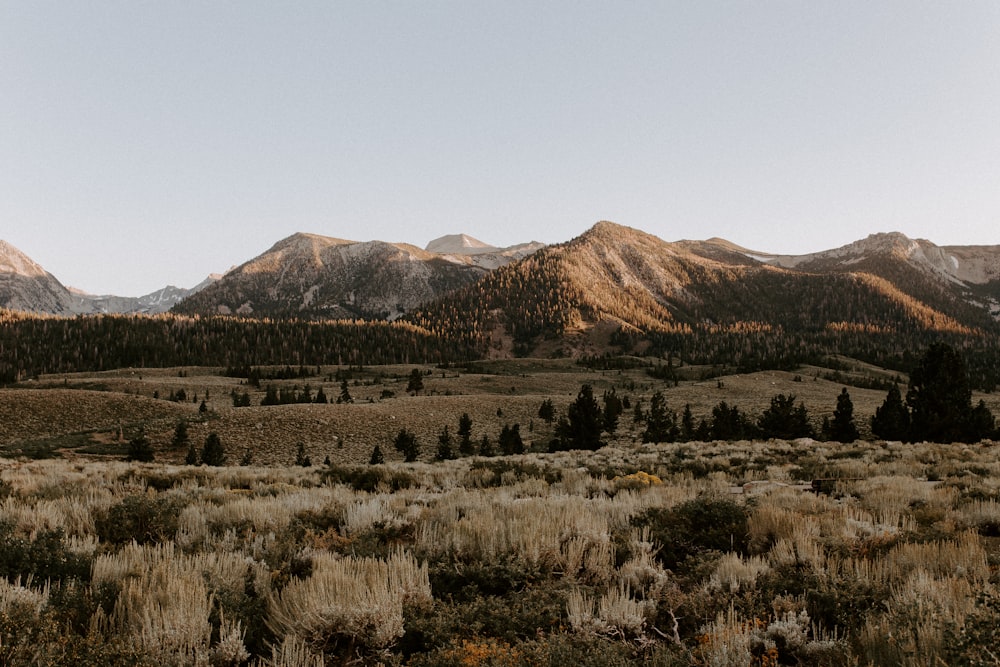 mountain range under clear blue sky