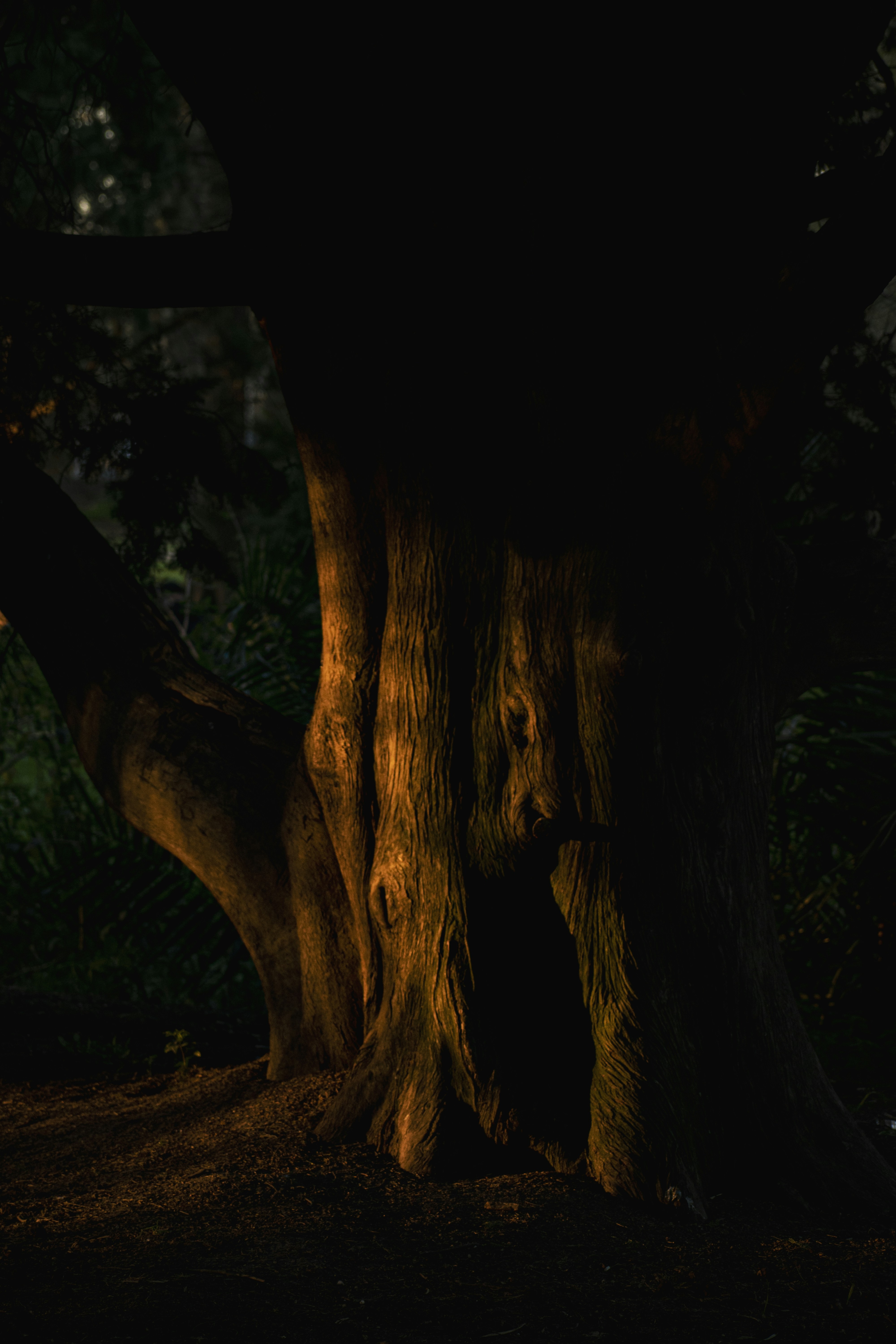 Photo by brahianceriani