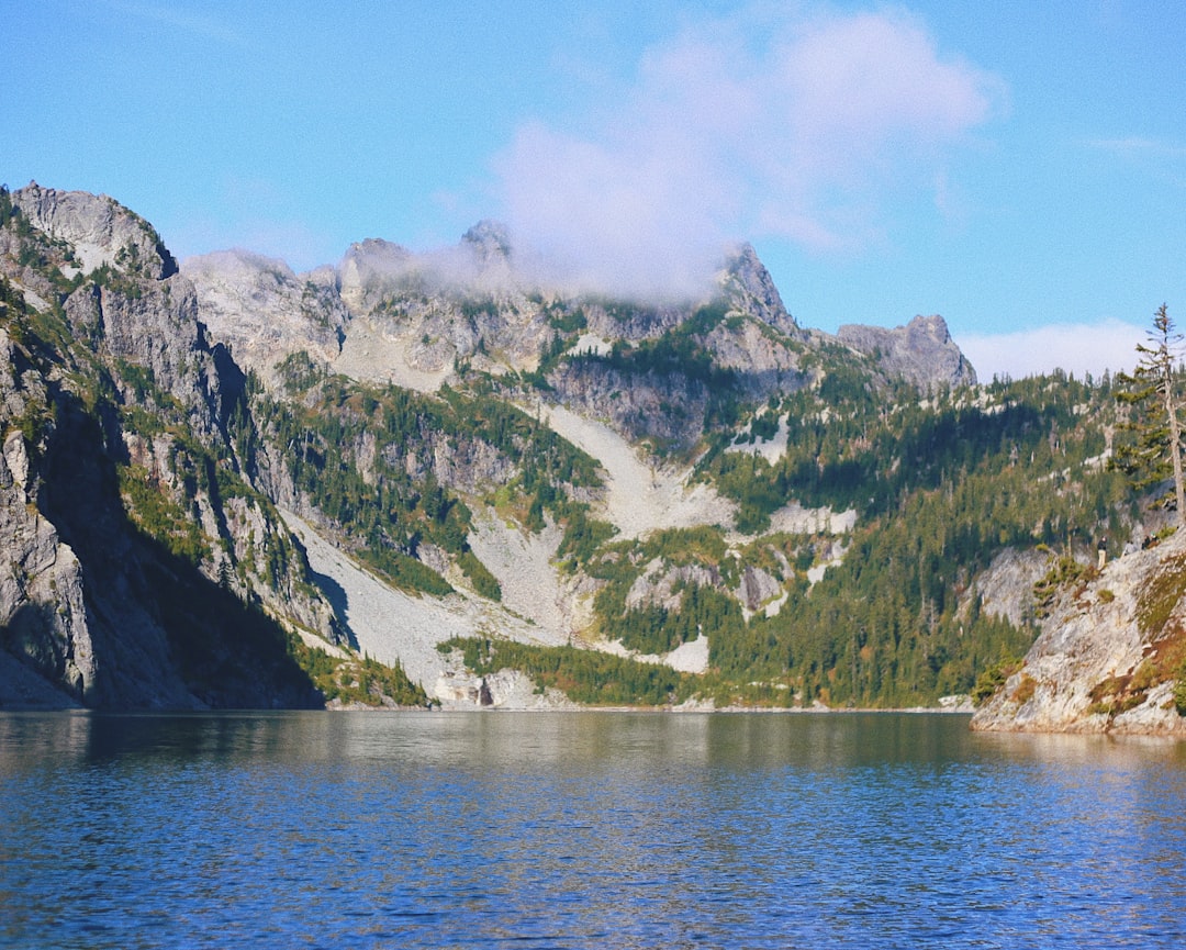 green trees on mountain beside calm body of water