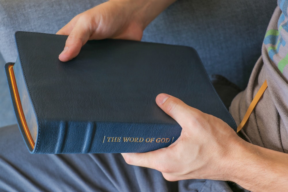 person holding book