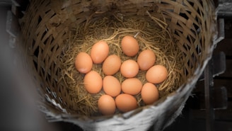 A wicker basket contains twelve brown eggs, resting on a bed of straw. The basket has a rustic appearance, with its woven structure visible. The eggs are neatly arranged and spaced evenly within the basket.