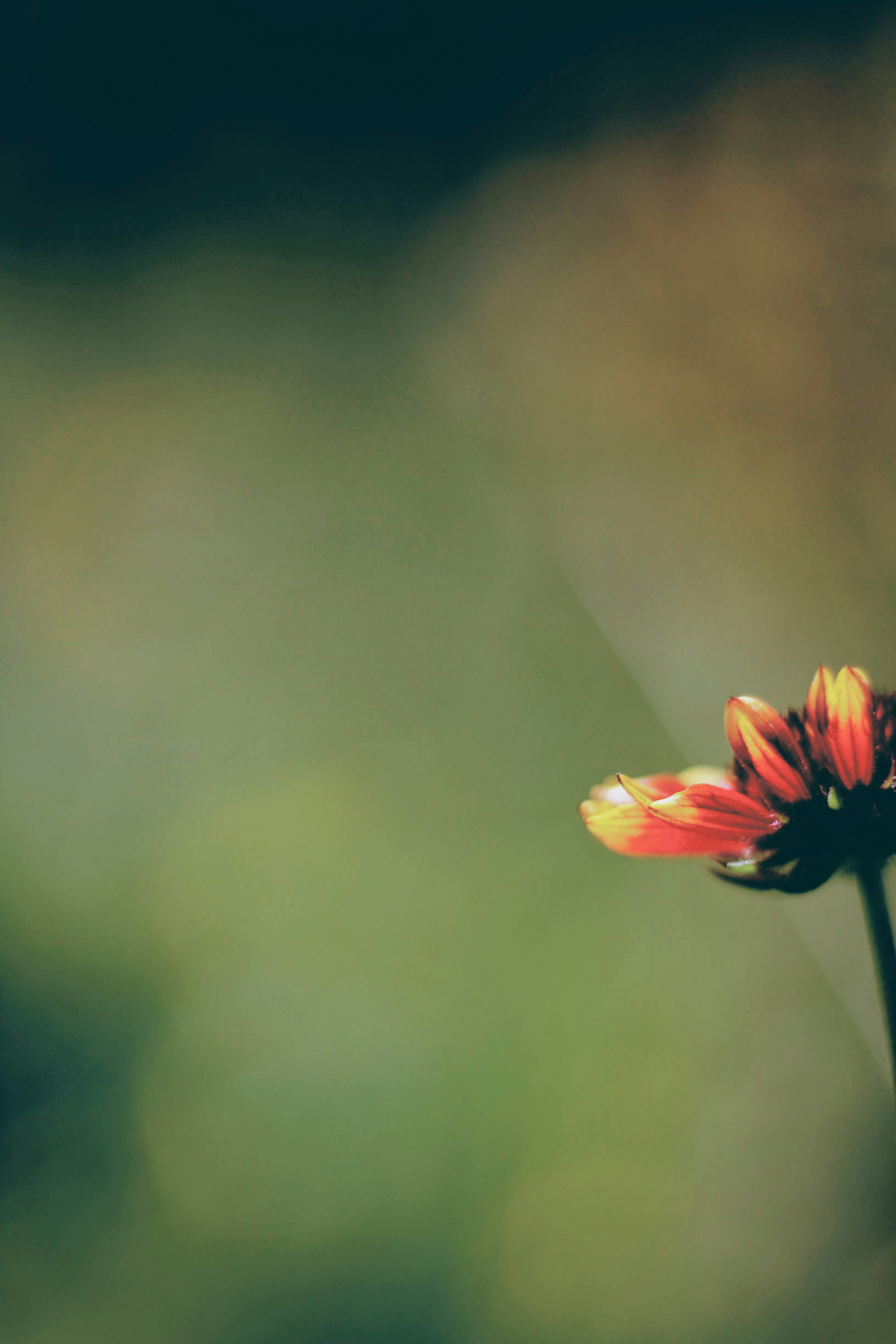 Photo by joshua_hoehne