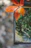 Close-up of a smartphone showing the Gobble Stop app interface in a woodland setting.
