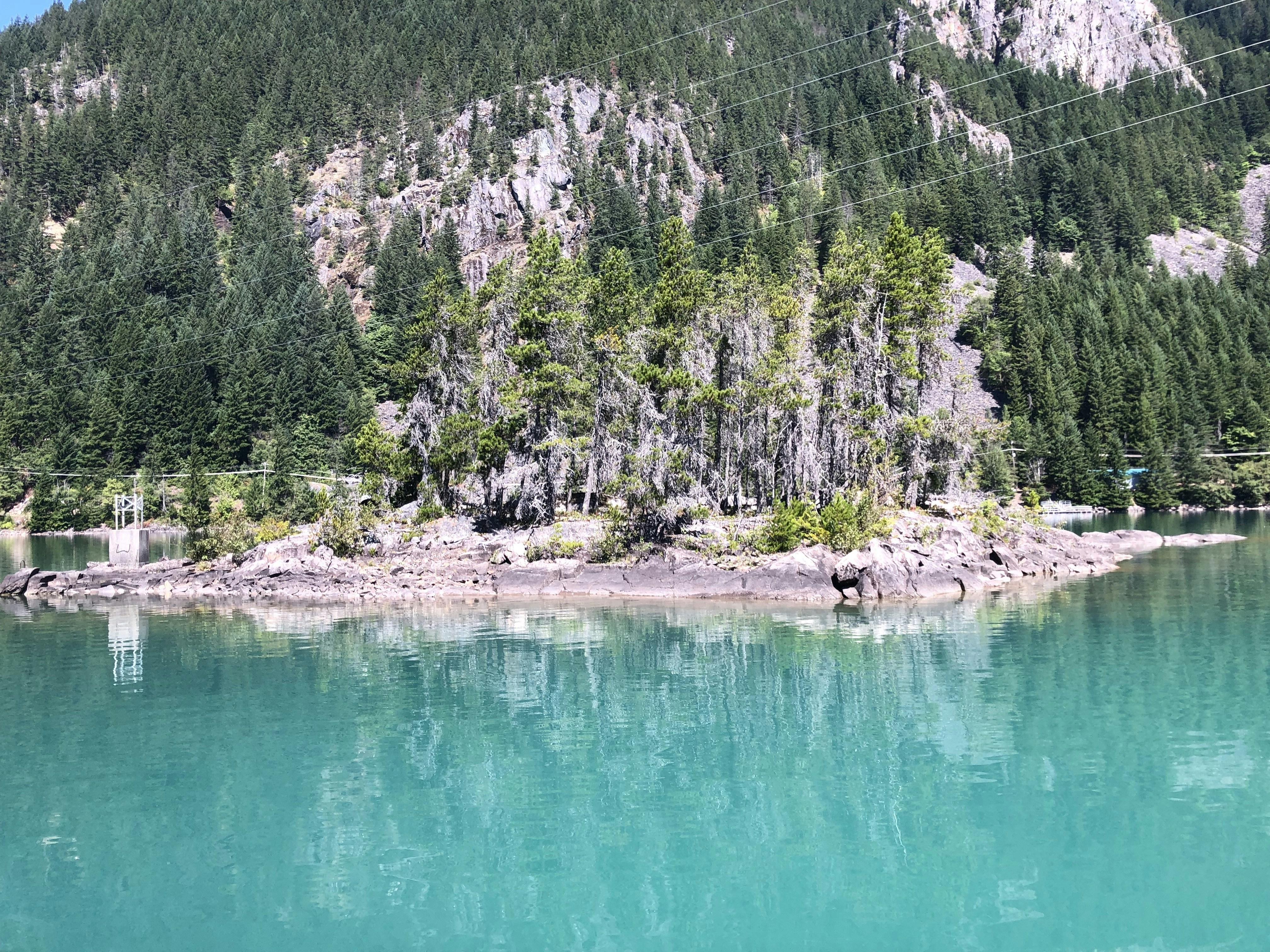 Photo by brewingcats