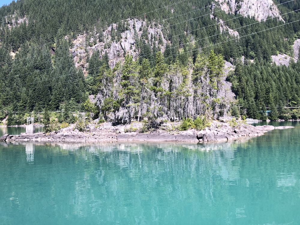 lake and trees