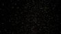 a black sky with a lot of stars