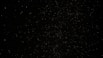 a black sky with a lot of stars