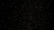 a black sky with a lot of stars