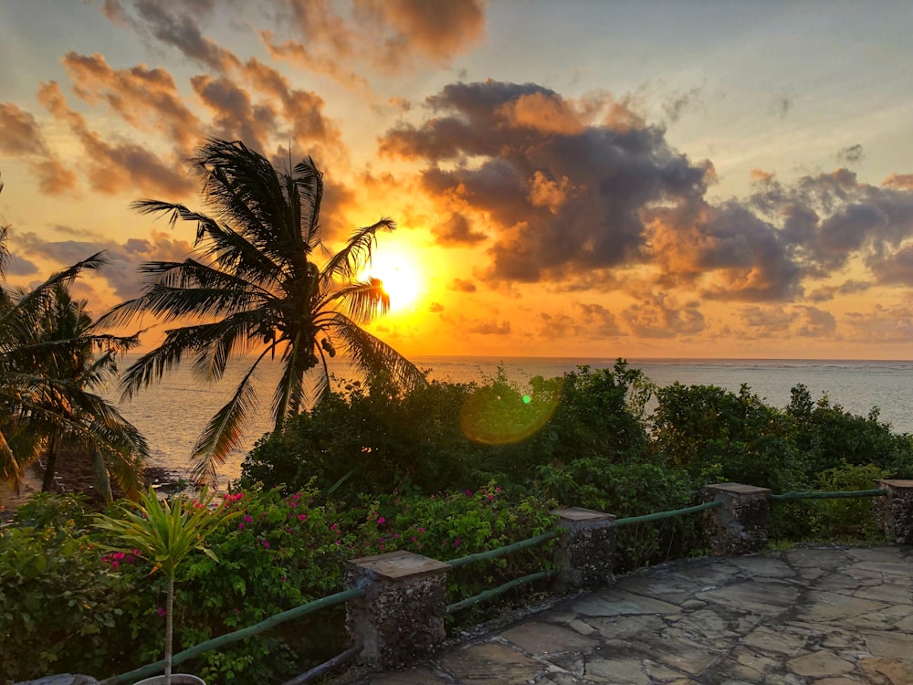 the sun is setting over the ocean with palm trees