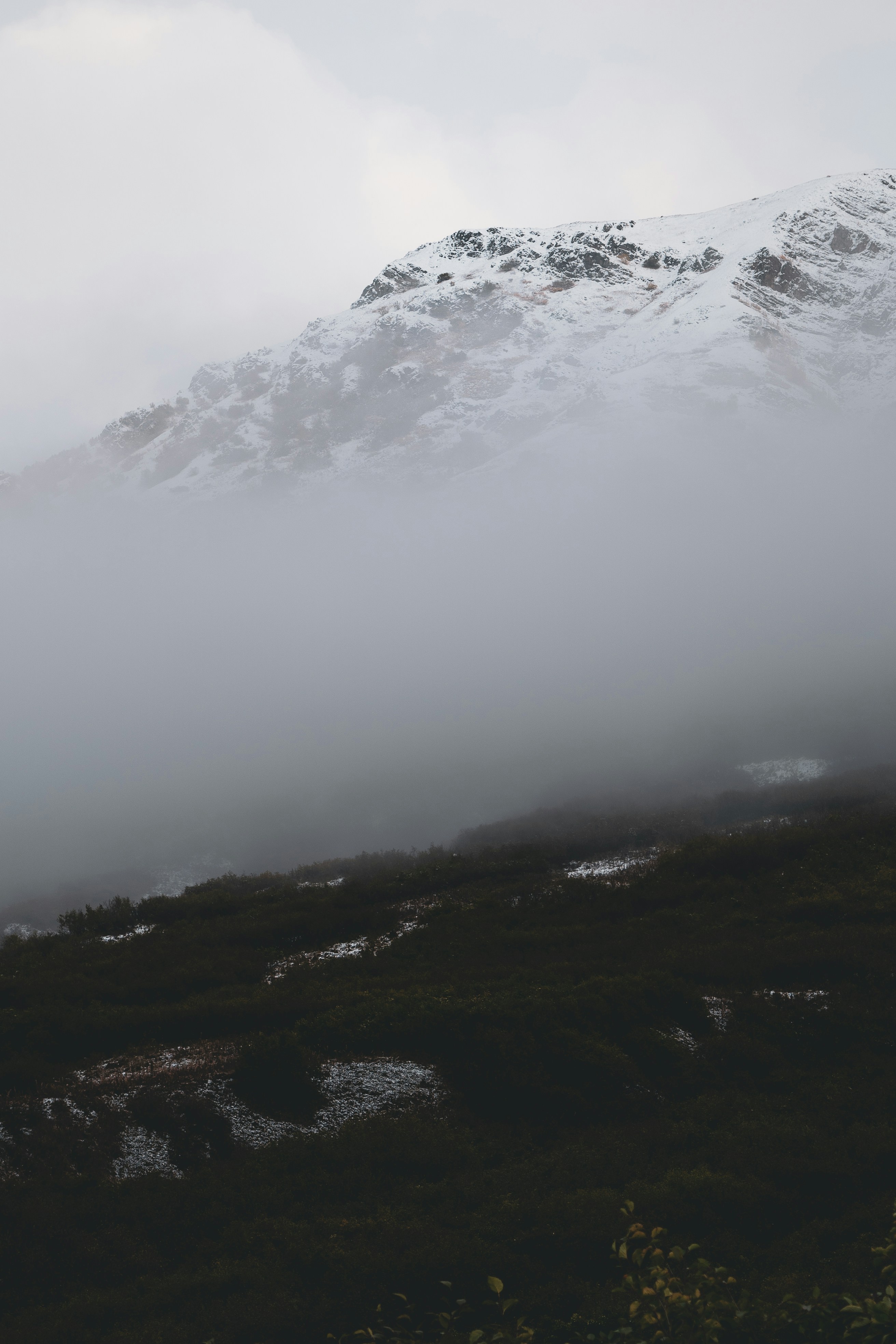 Photo by jaron_mobley