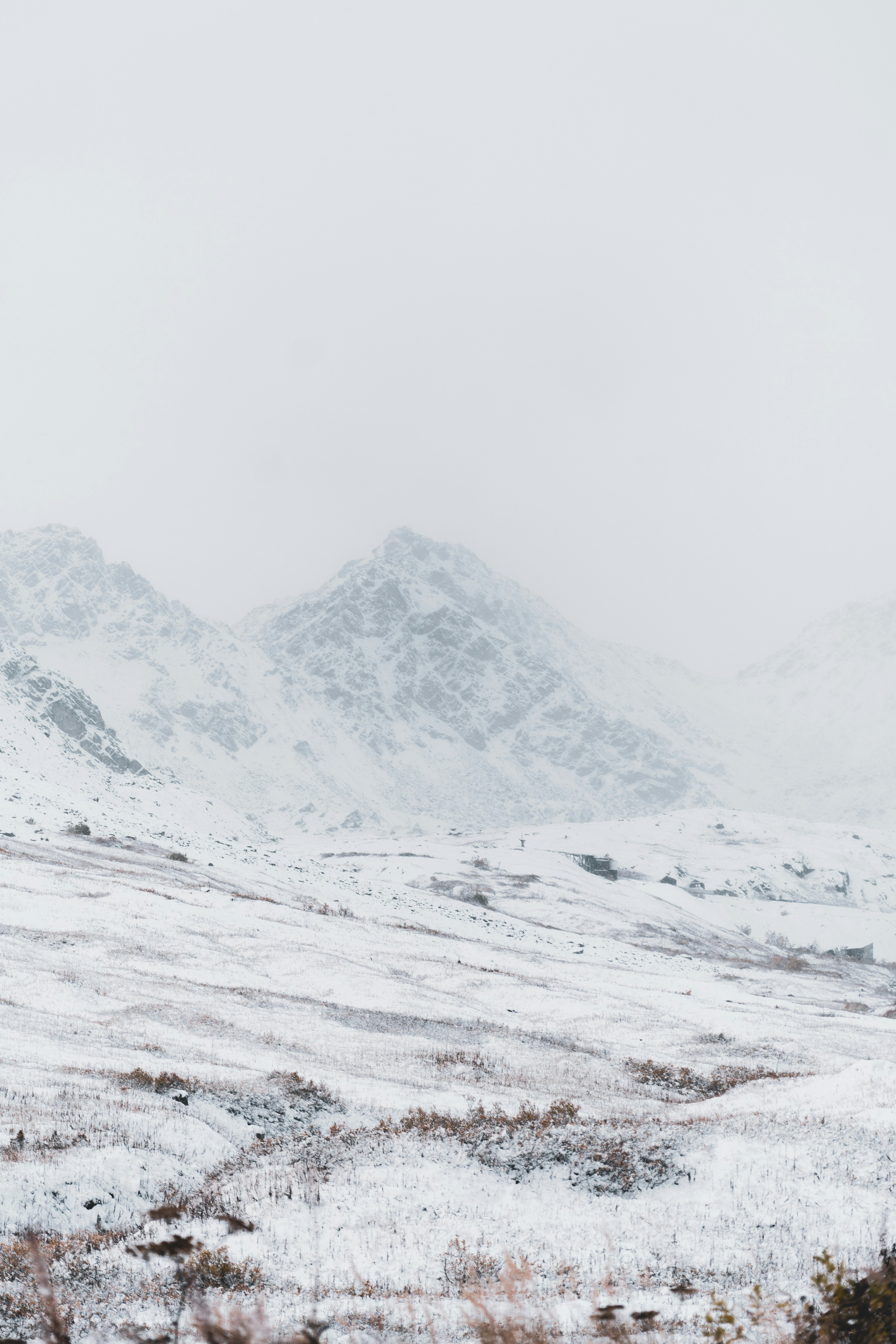 Photo by jaron_mobley