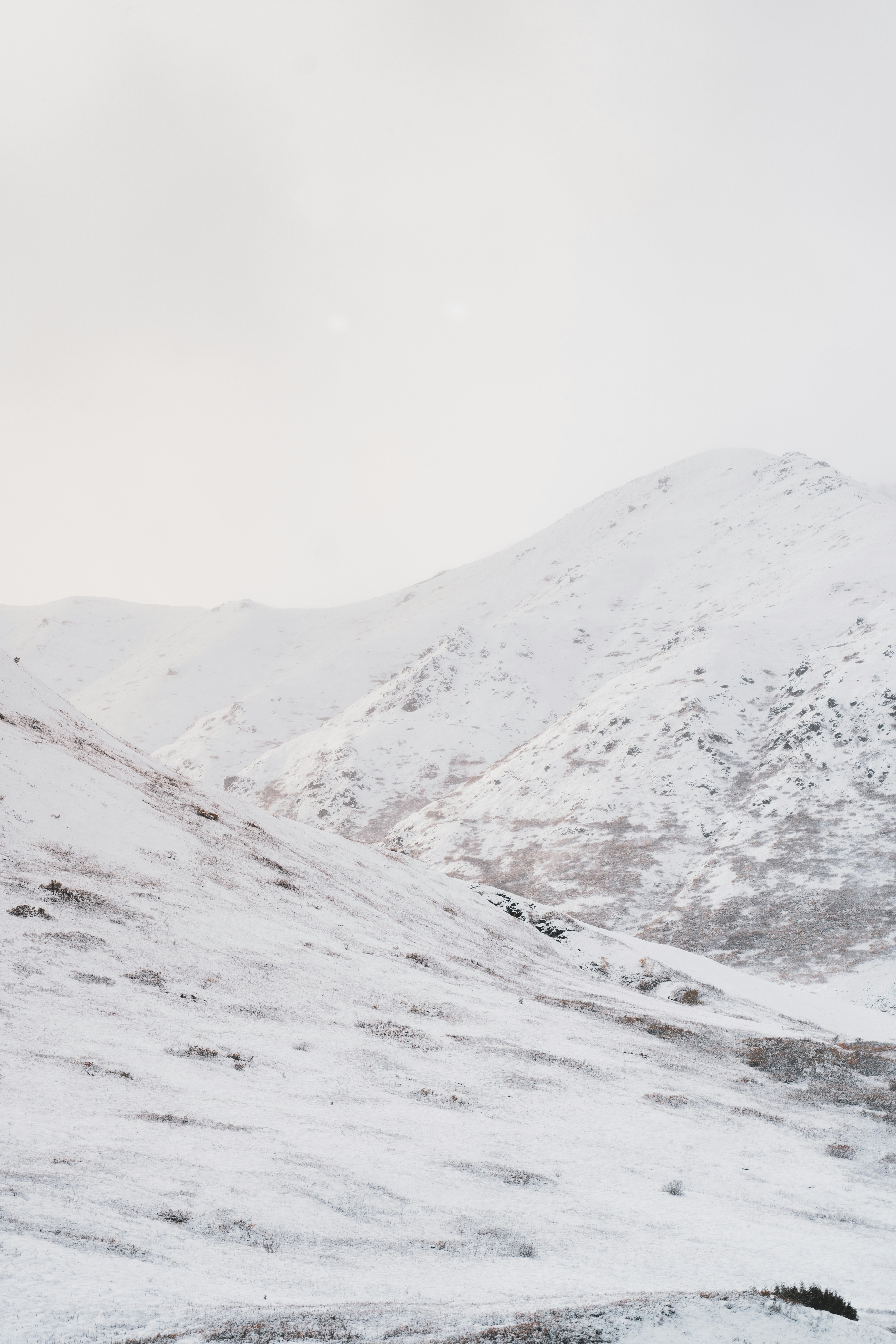 Photo by jaron_mobley