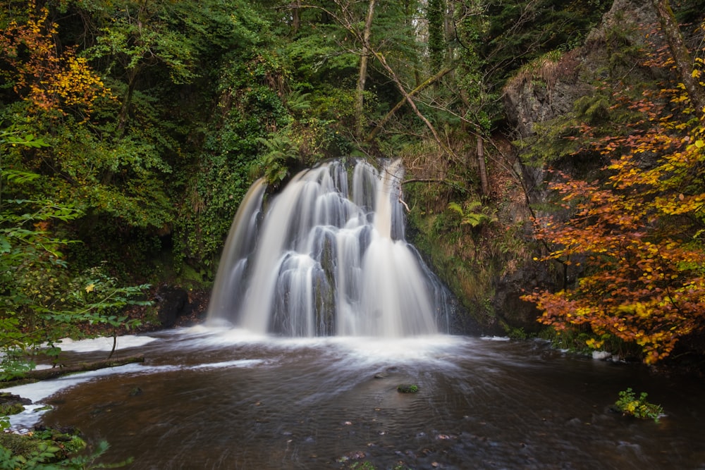 waterfalls surrounded by trees at daytime