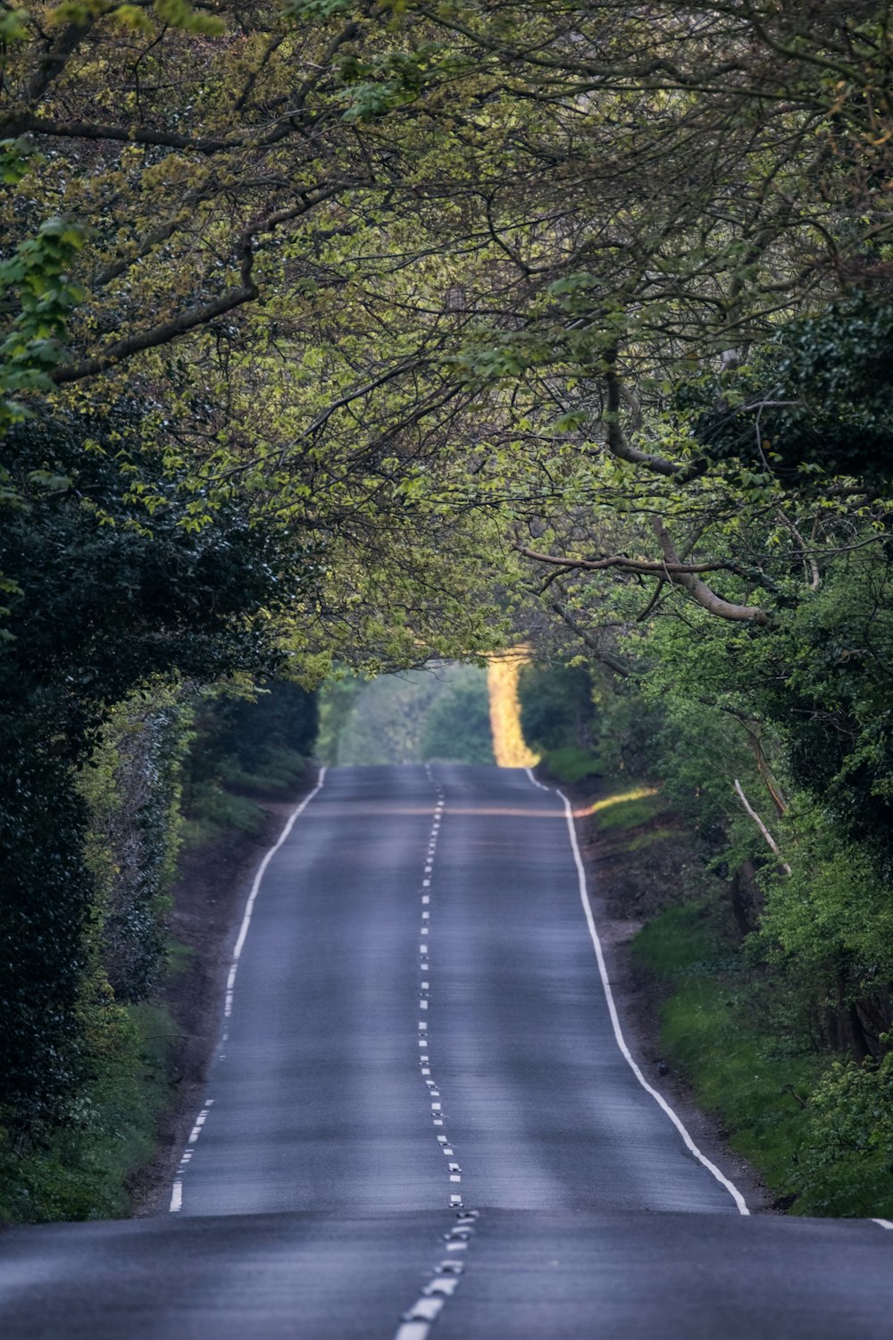 empty road photography