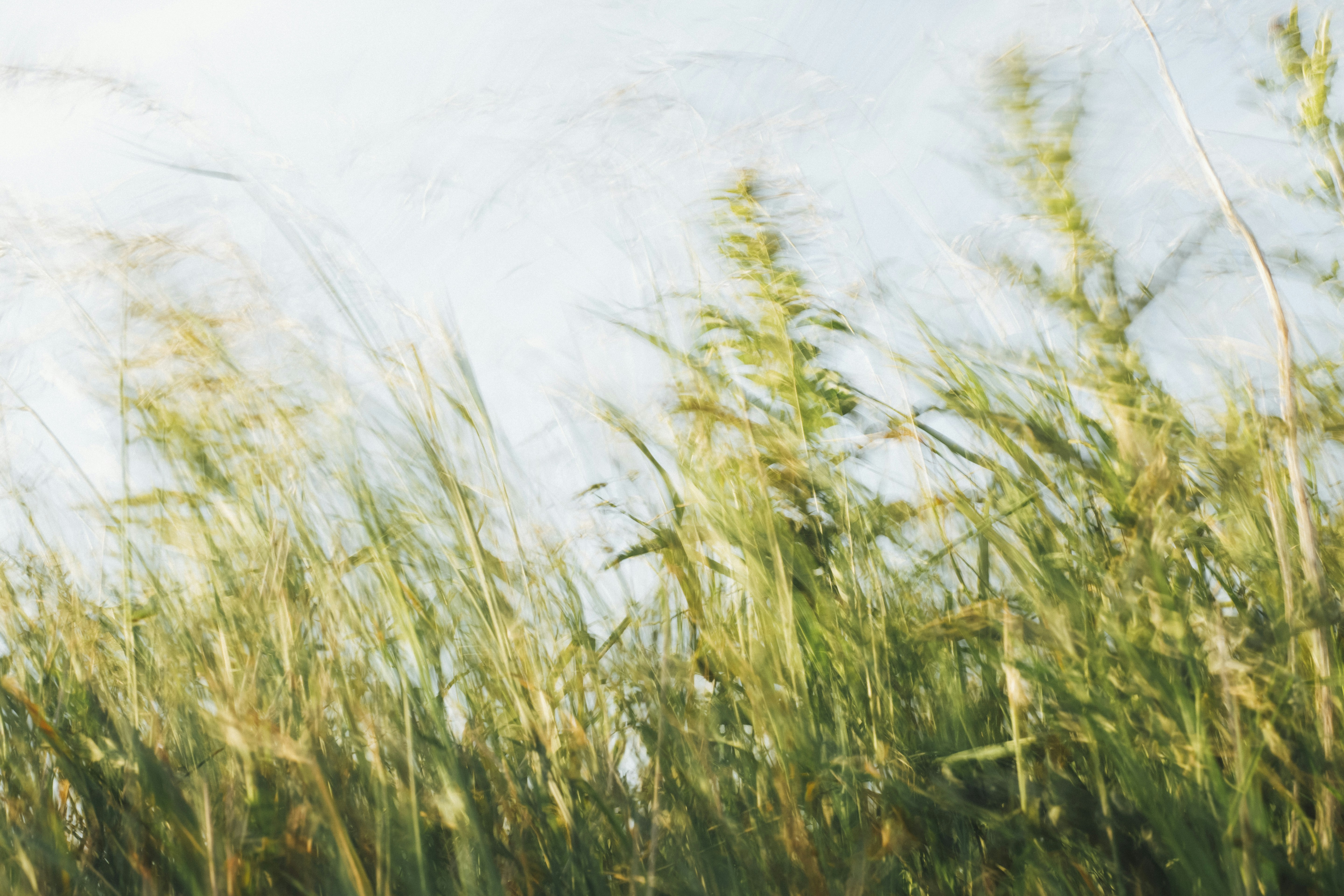 Photo by markusspiske