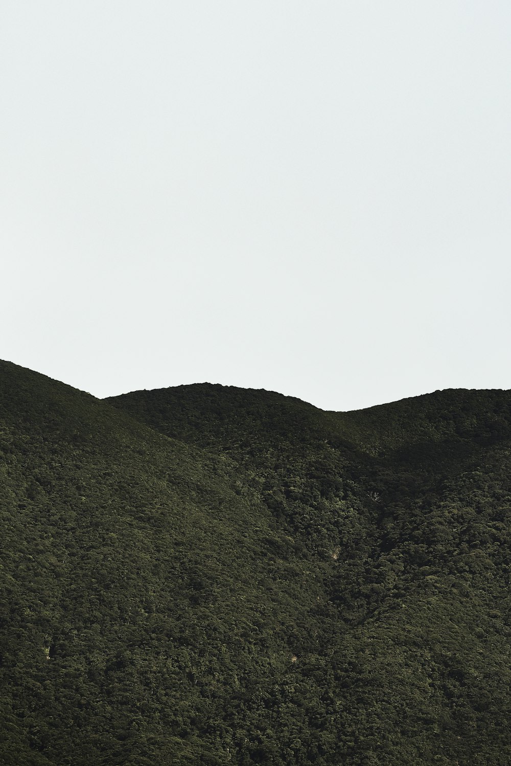 a bird flying over a lush green hillside