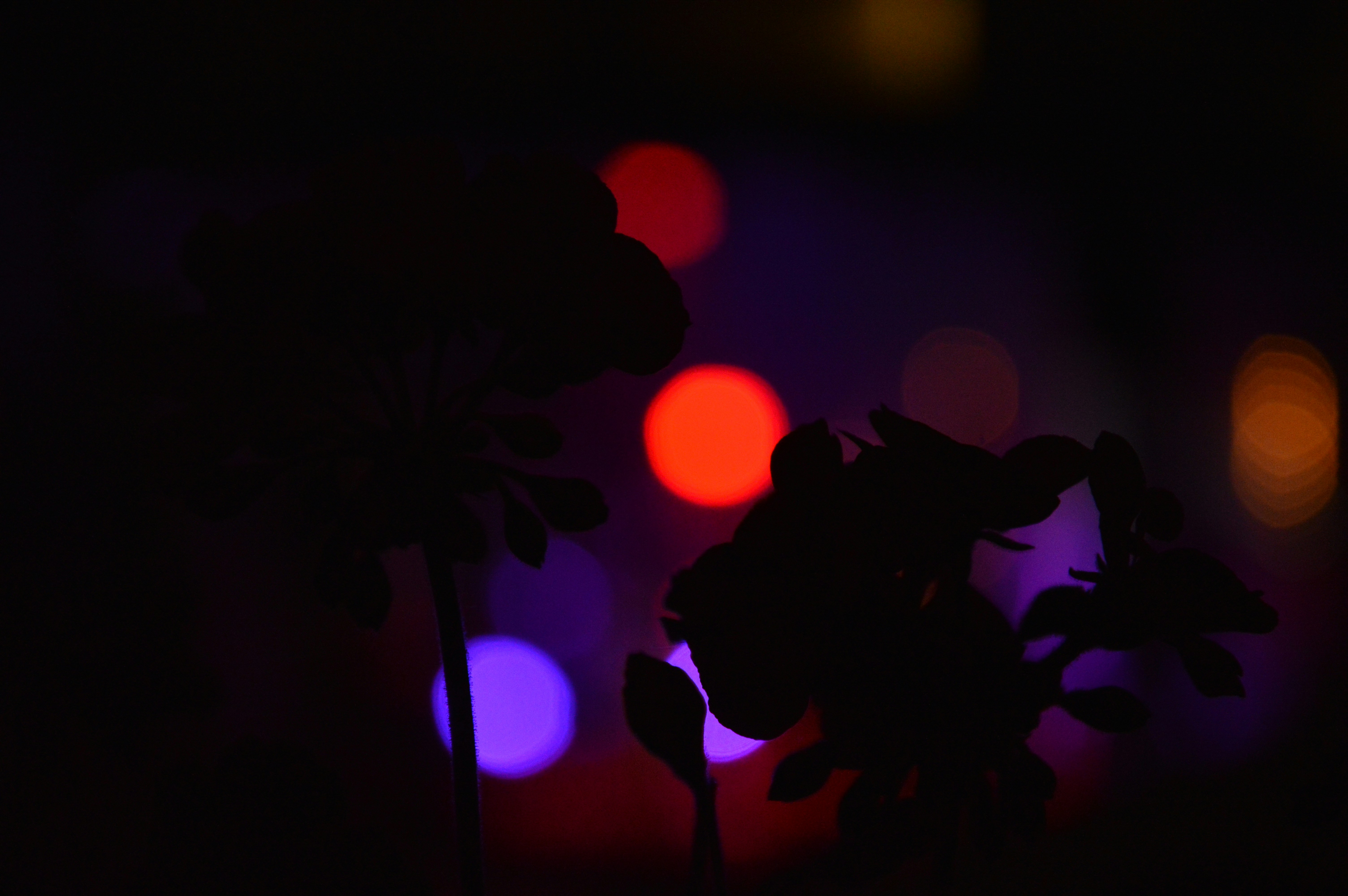 Photo by james_brown