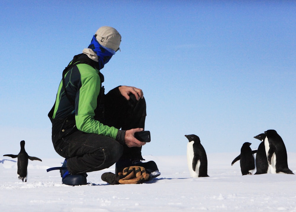 man near penguins