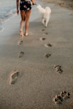 man and dog foot prints