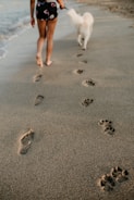 man and dog foot prints