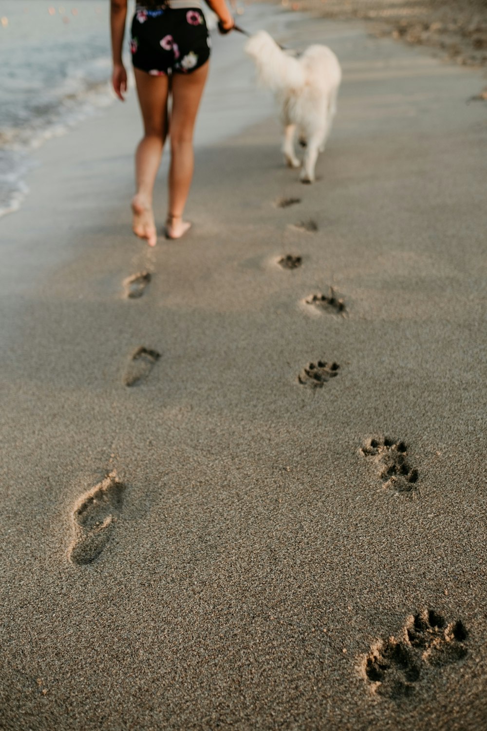 Fußabdrücke von Mann und Hund